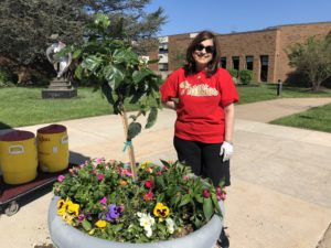 robbins planting andrea