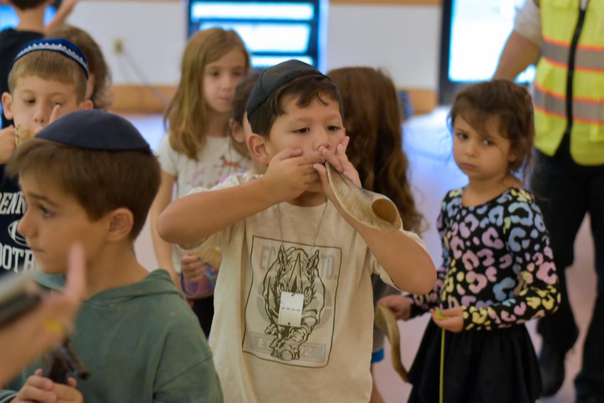 Shofar Factory shofar-factory-7 | Har Zion Temple
